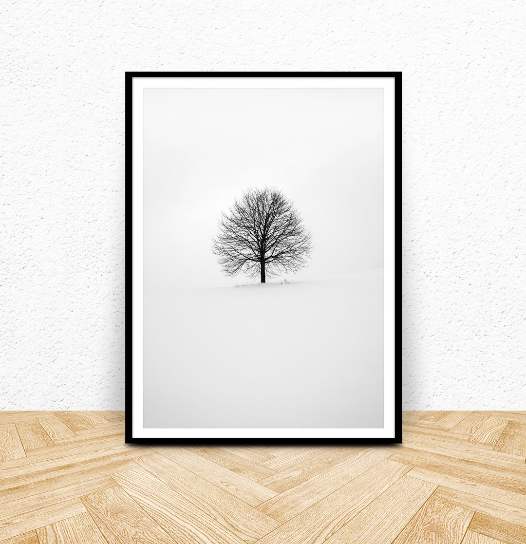 Tree Art, Black and White Photography Printable Wall Art, Winter