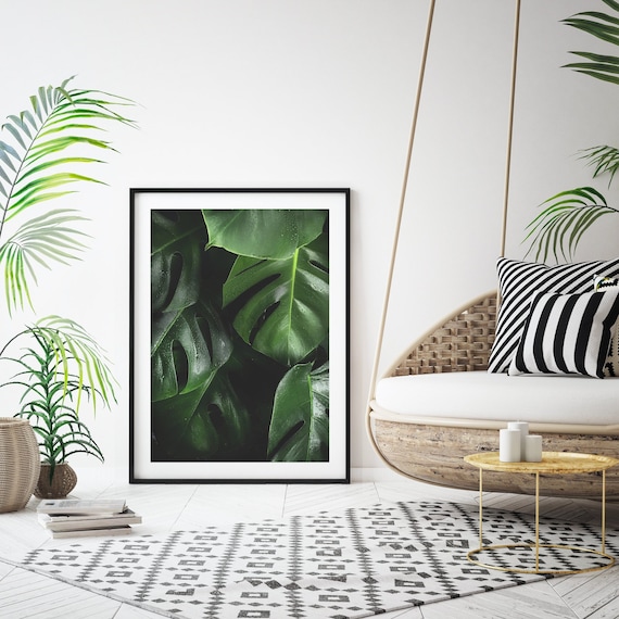 Monstera Leaf Wall Art Instant Print Digital Download, Tropical Leaf Print Botanical Photography Large Printable Poster, Bohemian Wall Decor