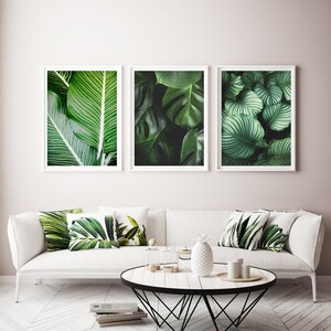 May include: Three framed prints of tropical green leaves, displayed on a white wall above a white sofa with green leaf patterned throw pillows. A white coffee table with a pineapple and other decorative items sits in front of the sofa.
