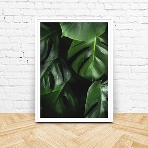 May include: A framed print of a close-up of large, dark green leaves with water droplets. The leaves have a textured, tropical look.