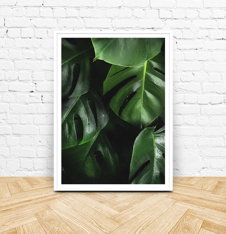 May include: A framed print of a close-up of large, dark green leaves with water droplets. The leaves have a textured, tropical look.