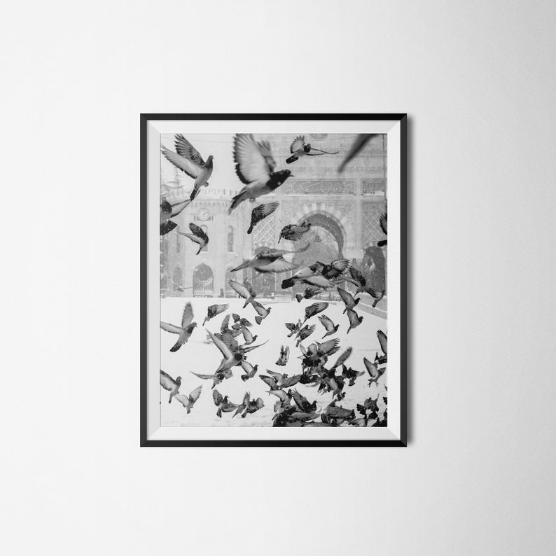 Bird Print, Black and White Printable Art, Instant Download, Flock of