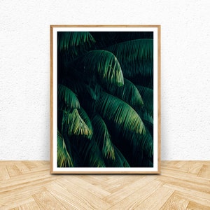 Arte de la pared botánica oscura, impresión de la fotografía de la planta de la palma, descarga digital, foto abstracta del negro verde, cartel imprimible grande, decoración de la pared oscura