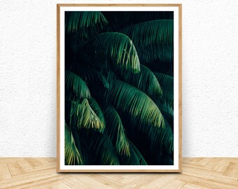 Dark Botanical Wall Art, Palm Plant Photography Print, Digital Download, Green Black Abstract Photo, Large Printable Poster, Dark Wall Decor