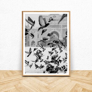 Bird Print, Black and White Printable Art, Instant Download, Flock of Birds Wall Art, Flying Pigeon Photography Print, Monochrome Decor image 1