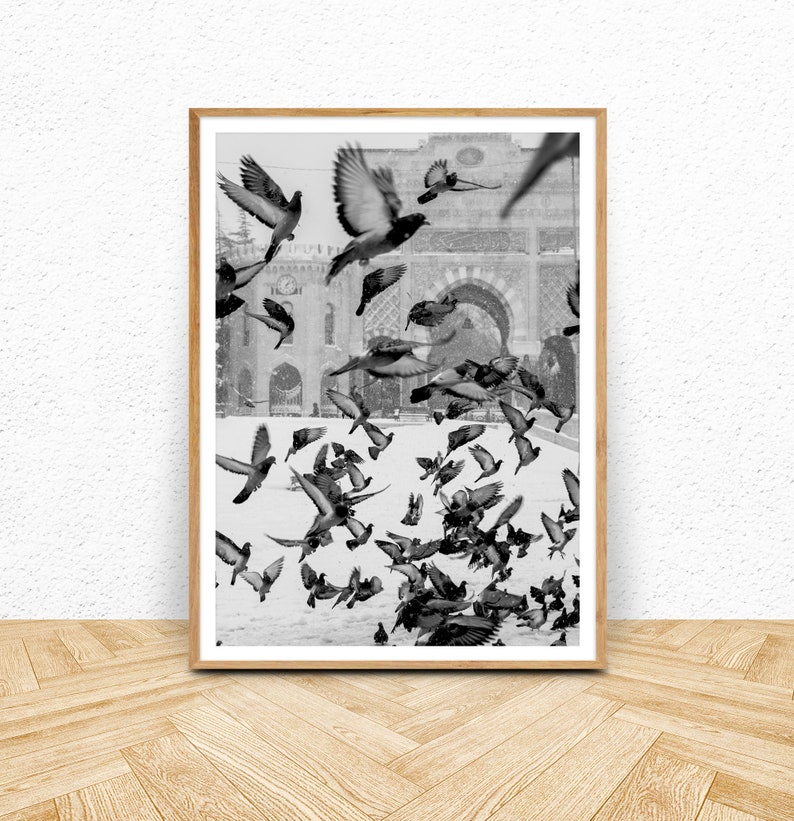 Bird Print, Black and White Printable Art, Instant Download, Flock of Birds Wall Art, Flying Pigeon Photography Print, Monochrome Decor image 1