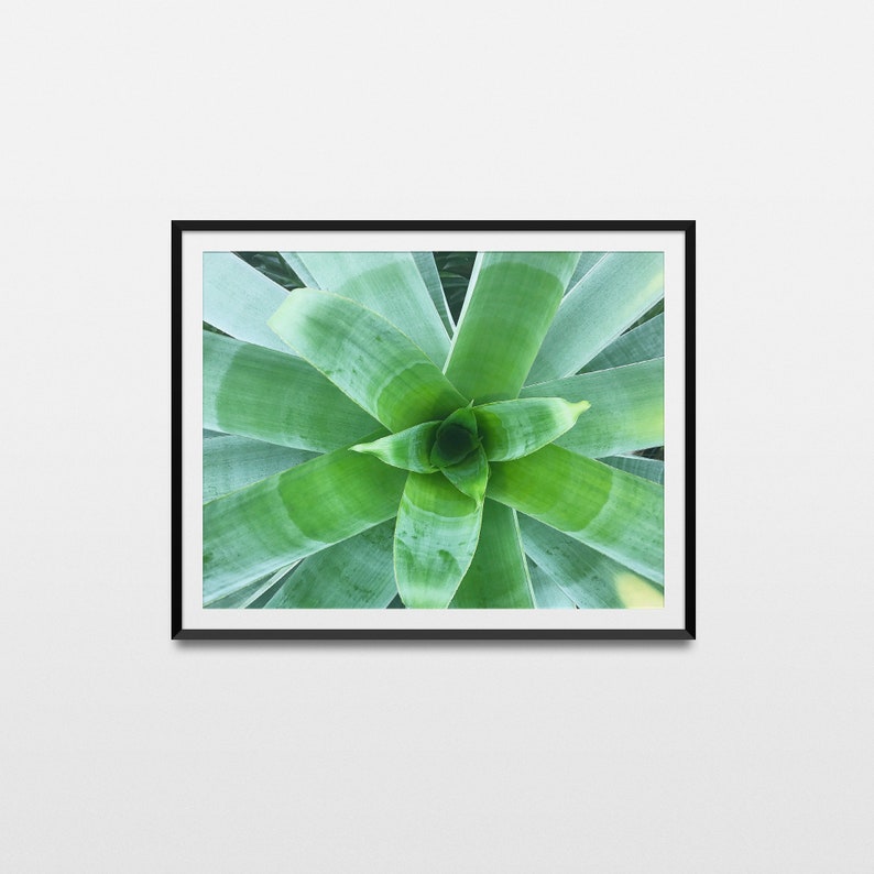 Tropical Plant Wall Art Succulent Printable Poster Digital - Etsy