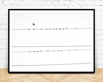 Birds on a Wire Black and White Print, Bird Print Digital Download, Instant Photography Prints, Minimalist Birds Wall Art Nature Photography