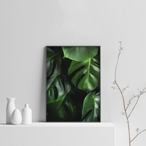 May include: A framed print of a close-up of large, dark green tropical leaves with water droplets on them.