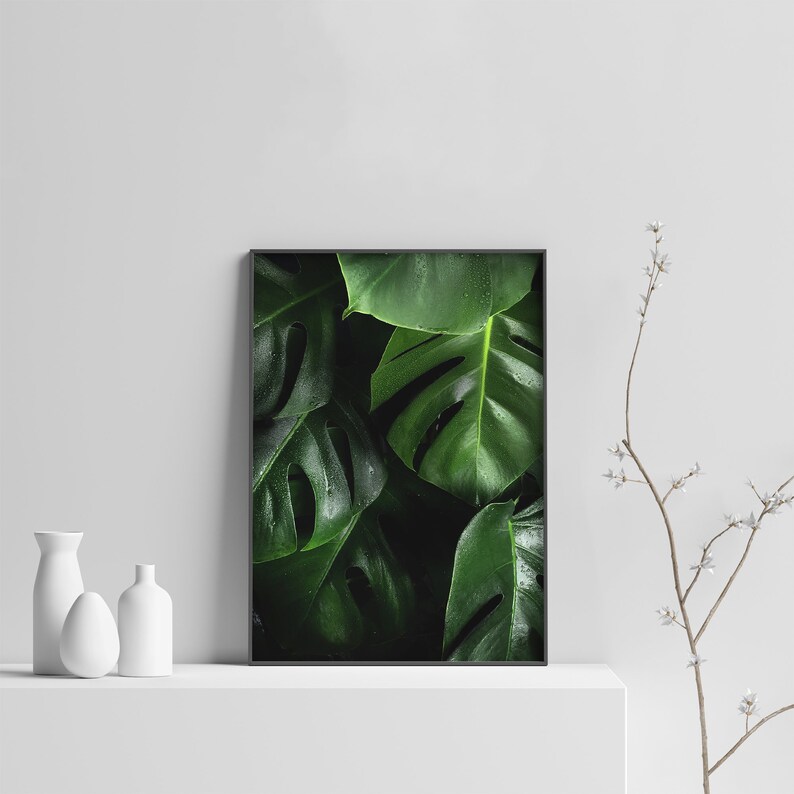 May include: A framed print of a close-up of large, dark green tropical leaves with water droplets on them.