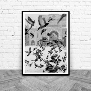 Bird Print, Black and White Printable Art, Instant Download, Flock of Birds Wall Art, Flying Pigeon Photography Print, Monochrome Decor image 4