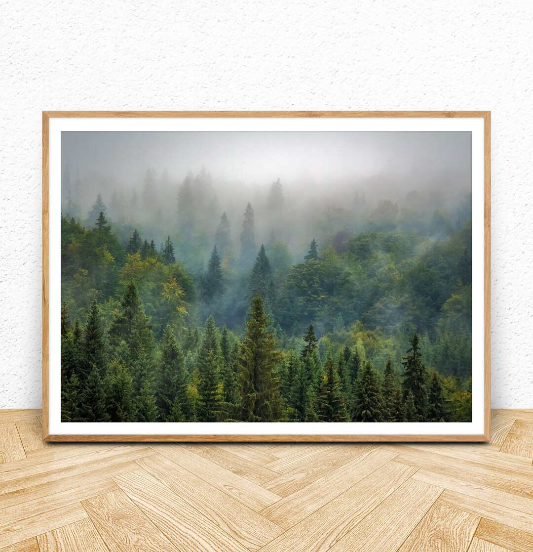 Forest Wall Art Print, Instant Digital Download, Pine Trees Photography ...
