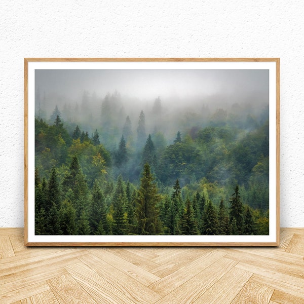 Forest Wall Art Print, Instant Digital Download, Pine Trees Photography, Large Printable Poster, Wilderness Landscape Print, Woodland Decor