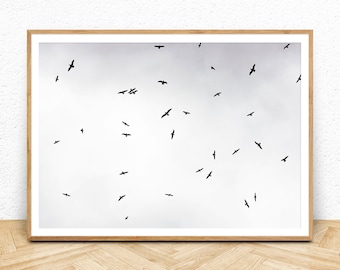 Flying Bird Print, Black and White Wall Art, Instant Download, Digital Art Poster, Black White Photography Printable, Grey Minimalist Decor