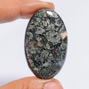 Natural Marcasite Agate Cabochon: Oval Gemstone, 79 ct