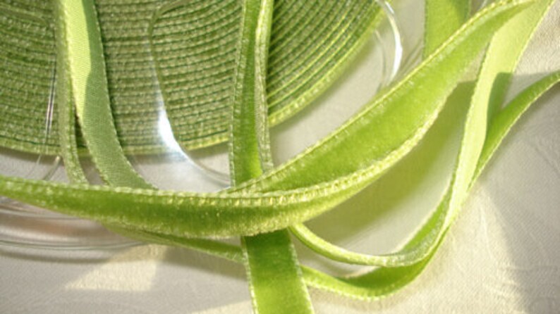 2 m x 9 mm ribbon band velvet light green col. 65 image 2