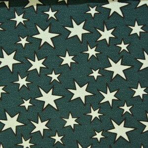0,5 m DRAGON Sterne grün/beige MILLIDEES für HILCO Jersey Ökotex-Zertifikat: 7728CIT Bild 4
