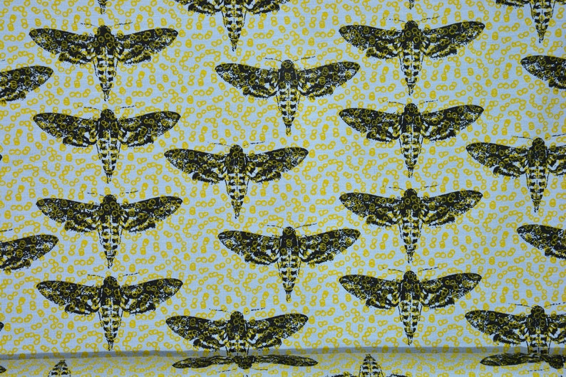 0,5 m Jersey MOTH motte mustard yellowblueblack