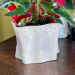 May include: A red poinsettia plant in a white ceramic pot with decorative details. The plant is sitting on a wooden surface with a mirror and other decorative items in the background.