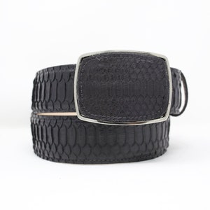 Cinturón de serpiente negra