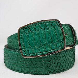 Cinturón Serpiente Verde