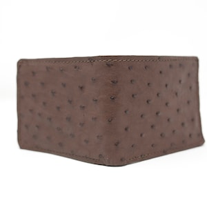 Cartera de avestruz