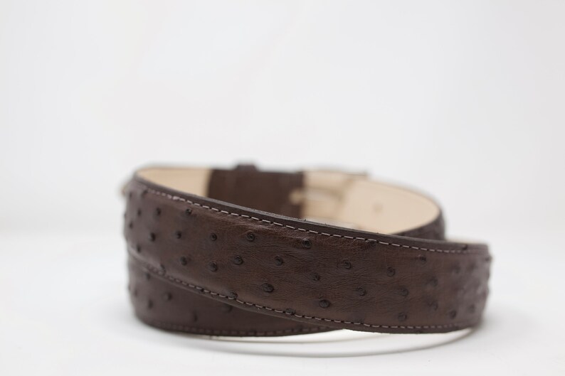 Brown Ostrich Belt image 2