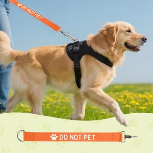 Pode incluir: Uma capa para trela de cão em laranja brilhante com o texto branco DO NOT PET e um ícone de pata. A capa foi concebida para deslizar sobre uma trela e é apresentada tanto presa a um peitoral preto num cão como como um item isolado.
