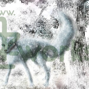 Puede incluir: Un lobo blanco con ojos azules se encuentra en un bosque nevado. El pelaje del lobo es esponjoso y su cola est&aacute; enroscada detr&aacute;s de &eacute;l.