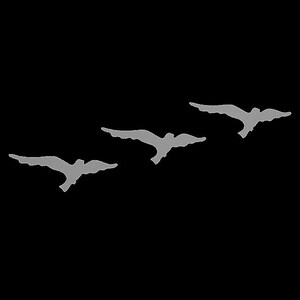 Peut inclure: Trois oiseaux gris volant en formation sur un fond noir.