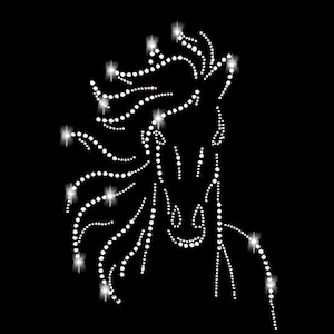 Può includere: Una silhouette di testa di cavallo bianca realizzata con strass su uno sfondo nero.