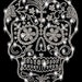 see more listings in the skull / bones section