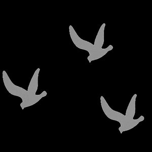 Op de afbeelding: Drie grijze gestileerde vogels vliegen tegen een zwarte achtergrond.