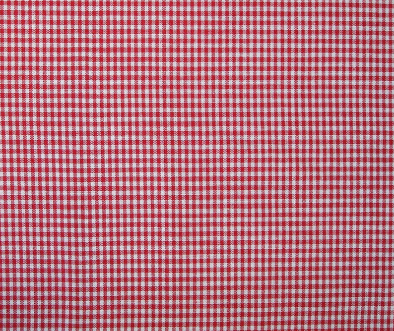 Puede incluir: Tela a cuadros rojos y blancos con un fino patr&oacute;n de cuadros.