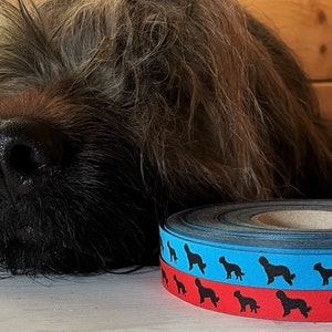 Webband "Briard" in rot und dunkeltürkis