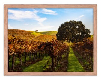 Rolling Vineyard - Póster enmarcado