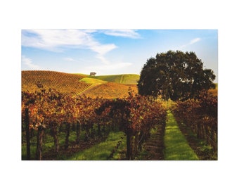 Rolling Vineyards on Canvas Galería Wraps
