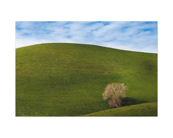 Envolturas de la galería Tree at Rest on Canvas