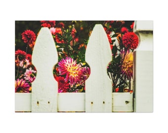 Dalias de piquete blanco sobre lienzo Envolturas de galería