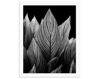 Rocket Leaves Póster enmarcado