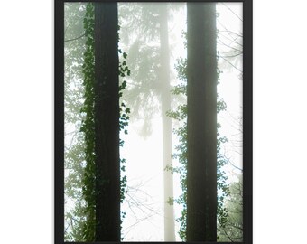 Foggy Ivy Póster enmarcado 6847