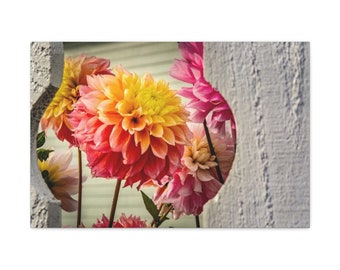 Dalias de piquete blanco sobre lienzo Envolturas de galería