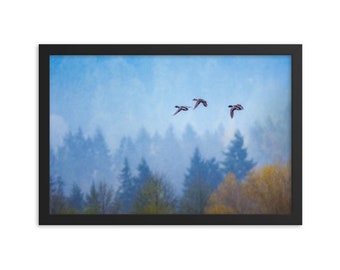 Vuelo 6266 de Nisqually - Póster enmarcado