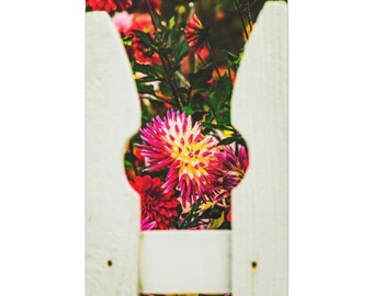 Dalias de piquete blanco sobre lienzo Envolturas de galería - Vertical