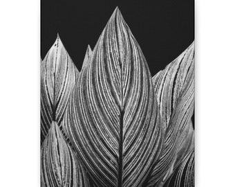 Rocket Fire deja envolturas en la galería de lienzos