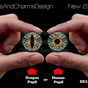Glass Eyes, Dragon Eyes, Fantasy Eyes, Steampunk, Reptilian Eyes, Cat eyes, Human Eyes, Handmade, High Quality, High-end Cabochons DE158