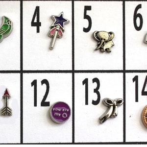 Floating Charms Collection, Memory Lockets Charms, Glass Locket Charms,  for Living Memory Lockets, Floating Lockets, Glass Locket FC222