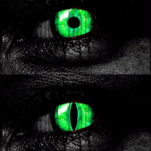 Ojos de cristal, Ojos de dragón, Ojos fantasía, Steampunk, Ojos reptilianos, Ojos de gato, Ojos humanos, Hecho a mano, Alta calidad DE133 imagen 6