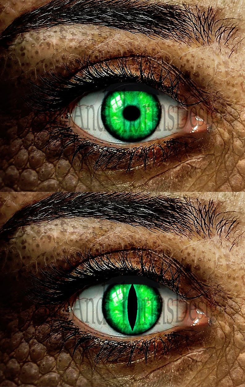 Ojos de cristal, Ojos de dragón, Ojos fantasía, Steampunk, Ojos reptilianos, Ojos de gato, Ojos humanos, Hecho a mano, Alta calidad DE133 imagen 7