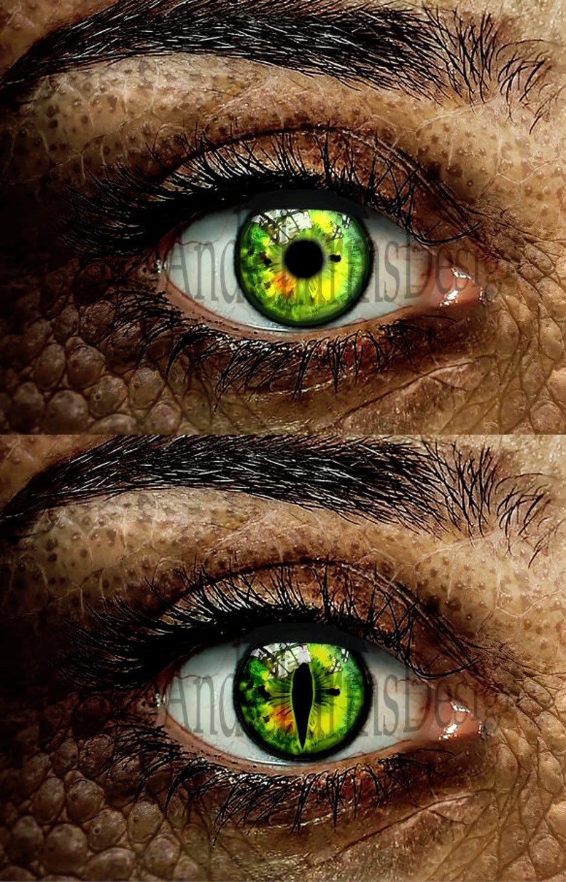 Ojos de cristal, Ojos de dragón, Ojos fantasía, Steampunk, Ojos reptilianos, Ojos de gato, Ojos humanos, Hecho a mano, Alta calidad DE086 imagen 7